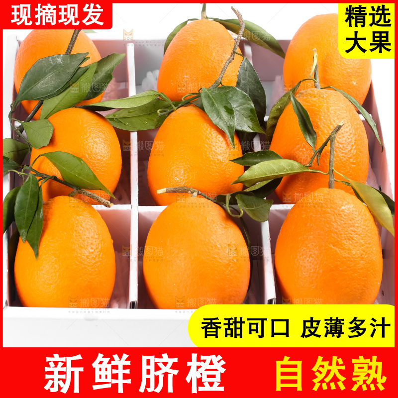箱子里的秭归脐橙