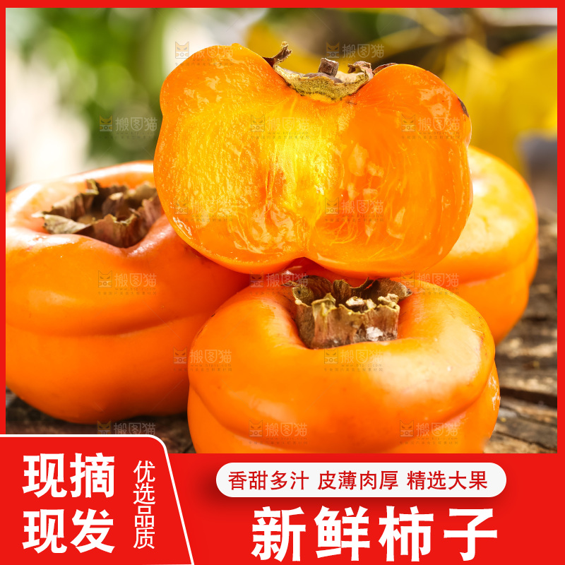 木底上的磨盘大柿子