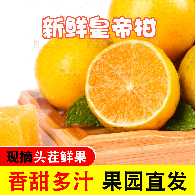 白底木盘里的武鸣皇帝柑