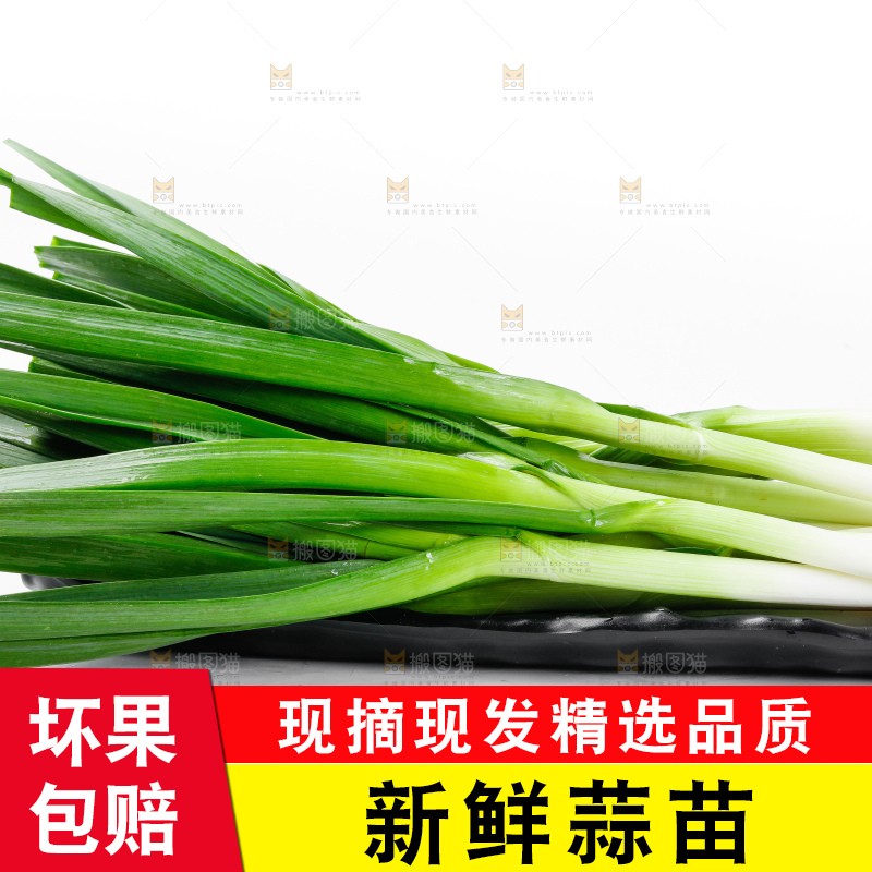 白底上的新鲜蒜苗