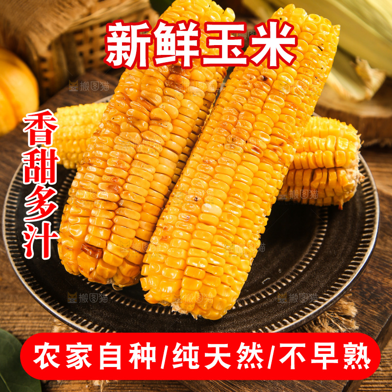 盘子里装烤玉米