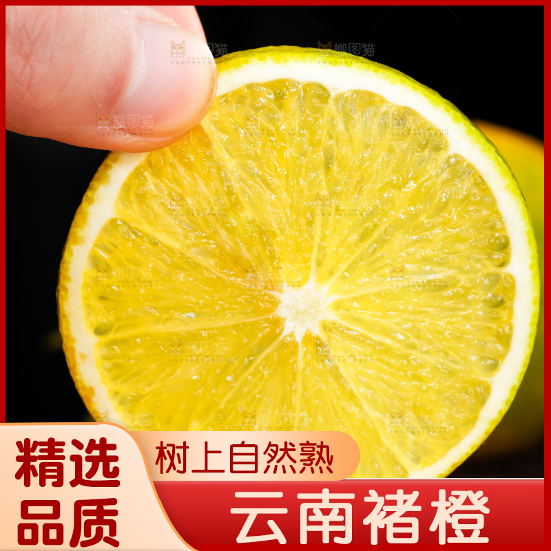 手里拿着新鲜褚橙