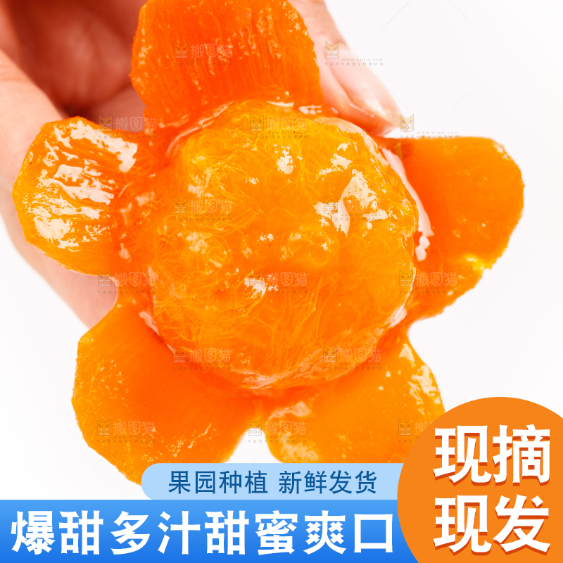 手里拿着新鲜柿子