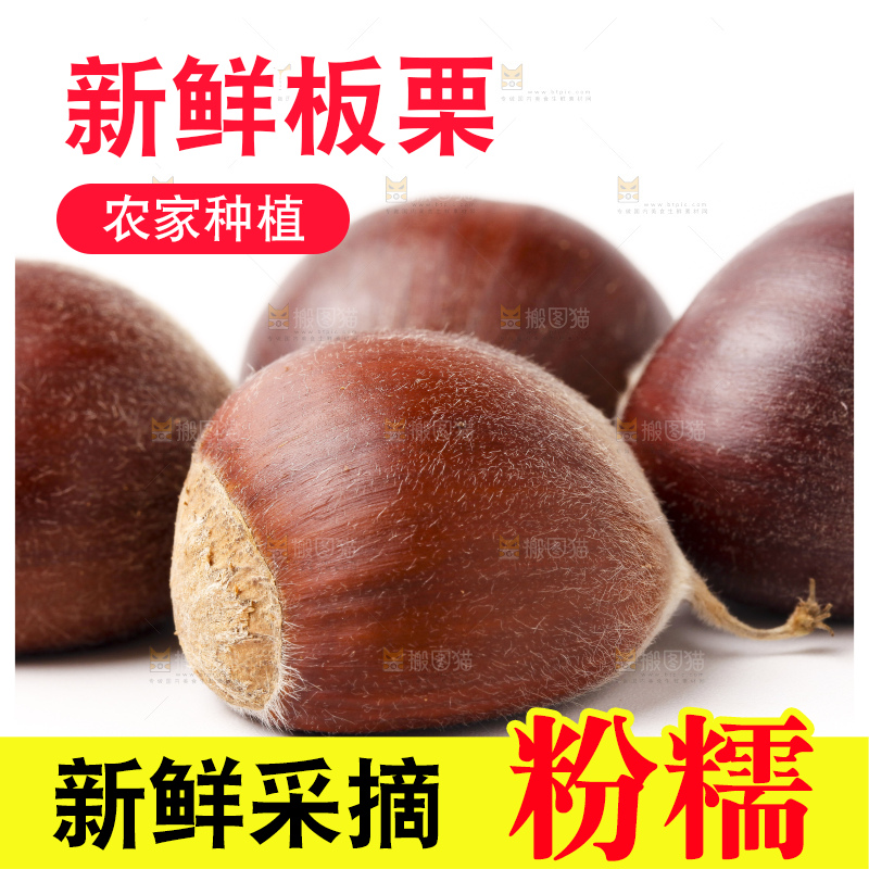 白底上放着迁西板栗