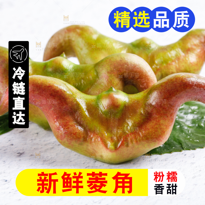 白底上的菱角