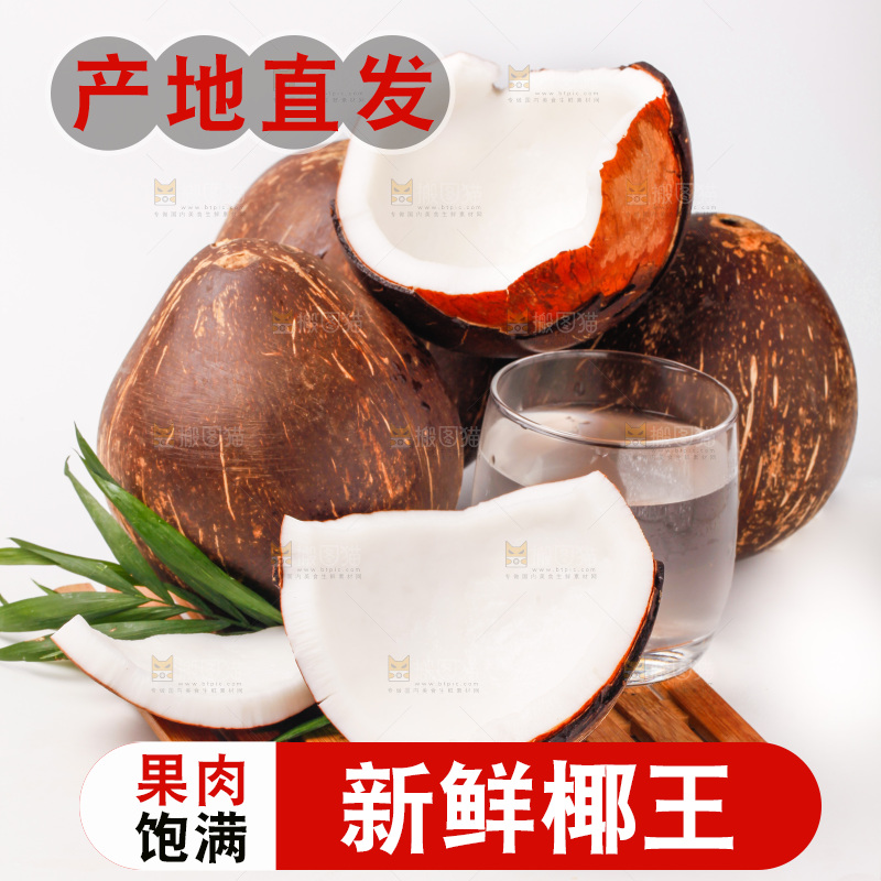 竹垫子上的椰王