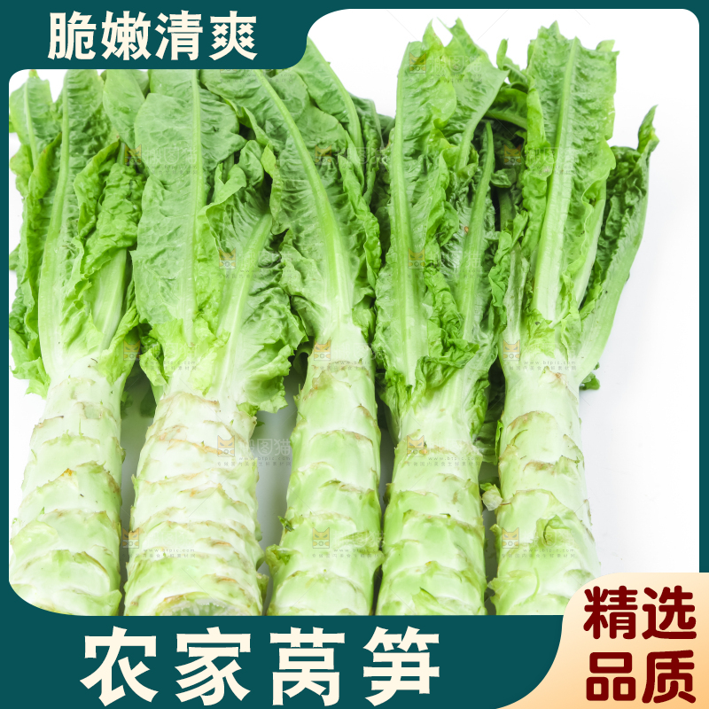 白底上的莴笋