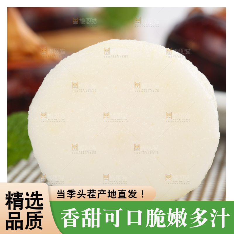 浅底上的马蹄果