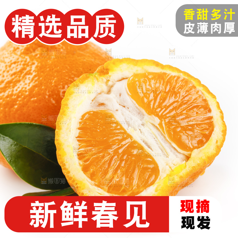 白底上摆放着耙耙柑
