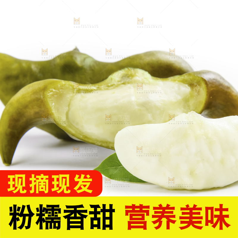 白底上的新鲜菱角