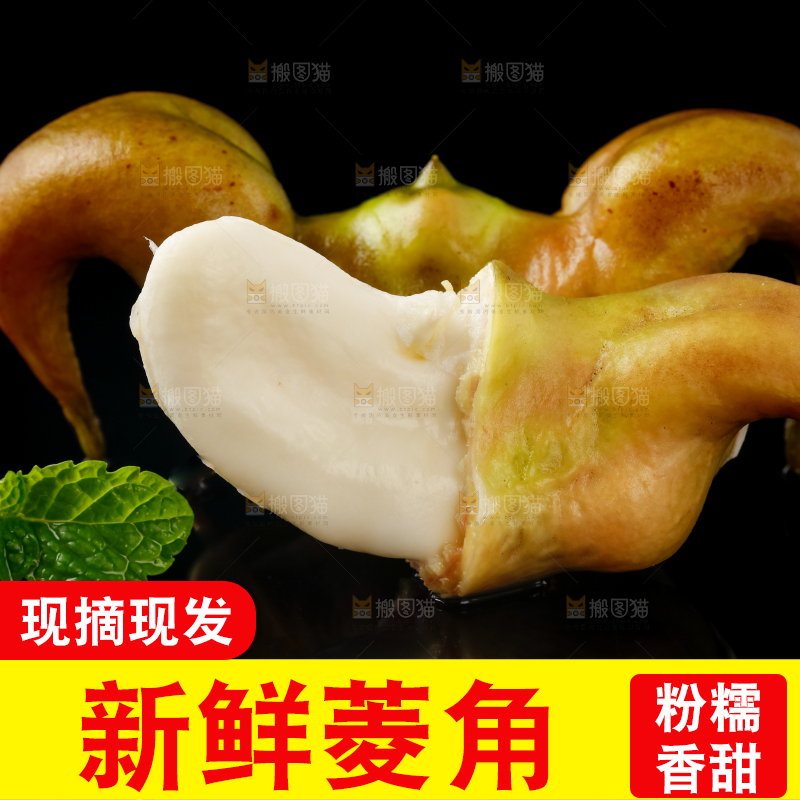 黑底上的菱角