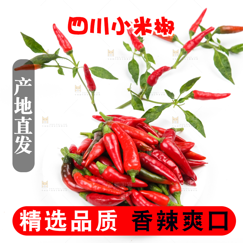白底上的小米椒