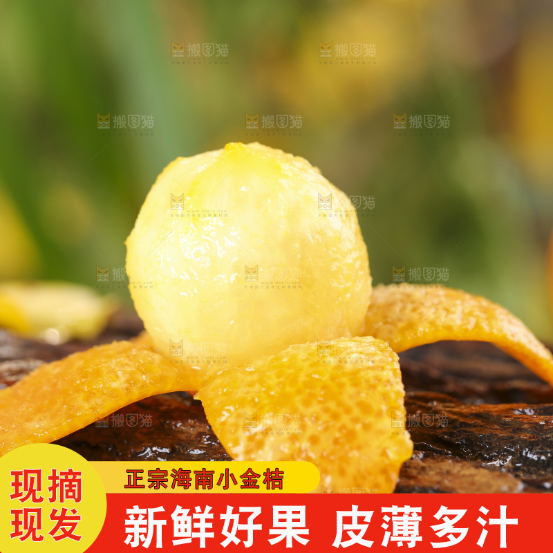 木底上放着新鲜金钱桔