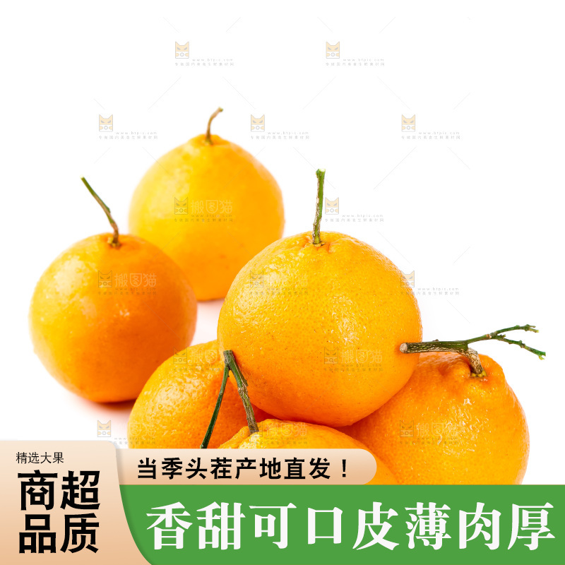 白底上的春见耙耙柑