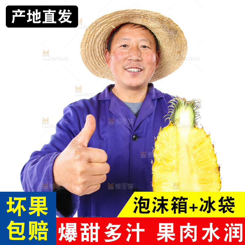 农民手里拿着香水菠萝