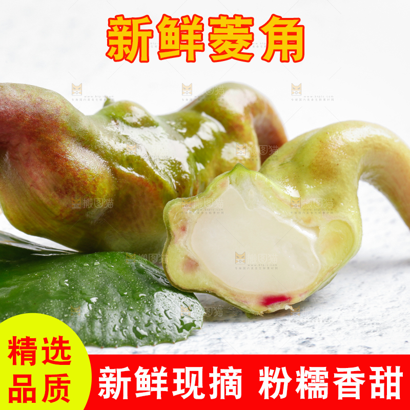 白底上的菱角