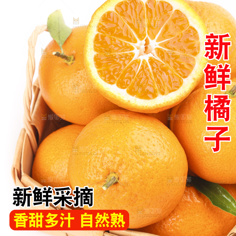 篮子里装着丑橘