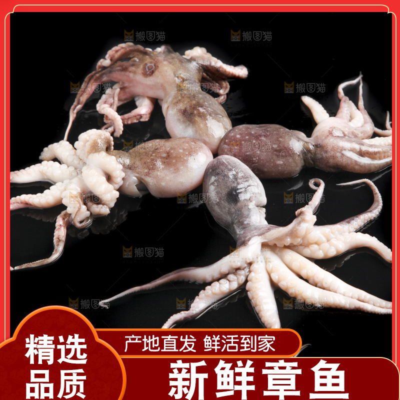 黑底上的八爪鱼