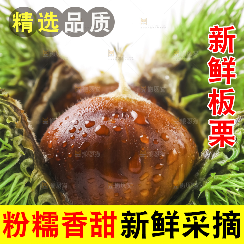 浅底上的板栗