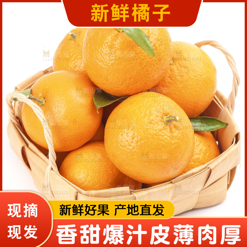 篮子里装着丑橘
