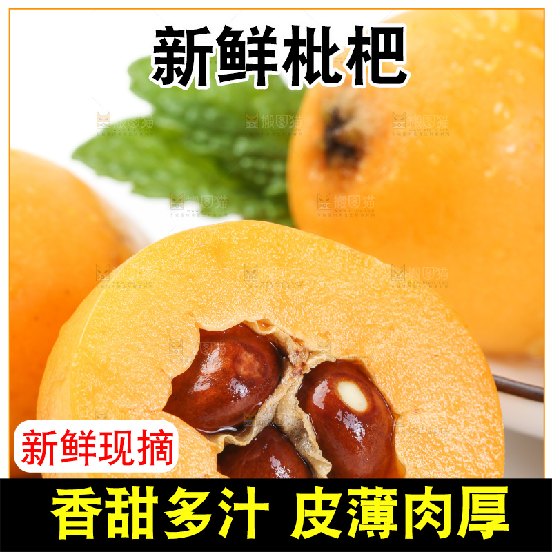 白底上的枇杷