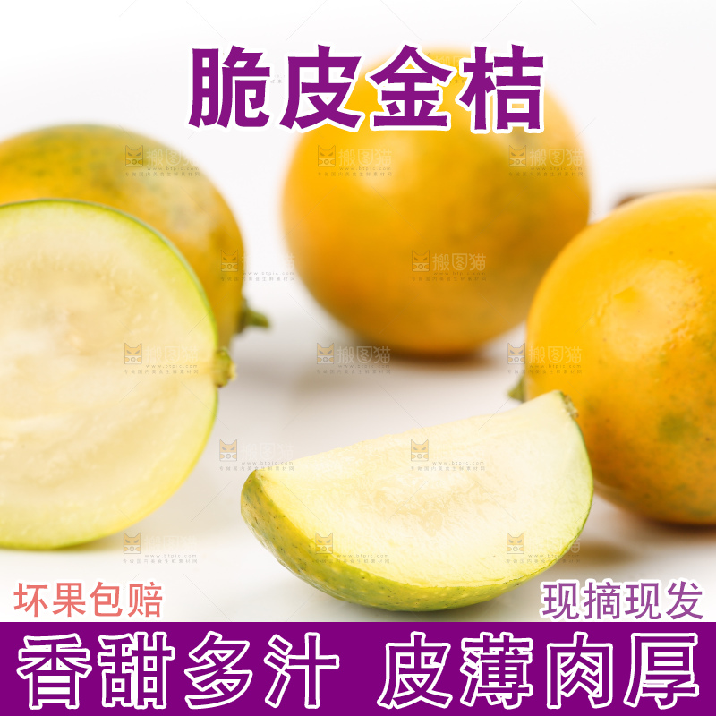 白底上的金桔