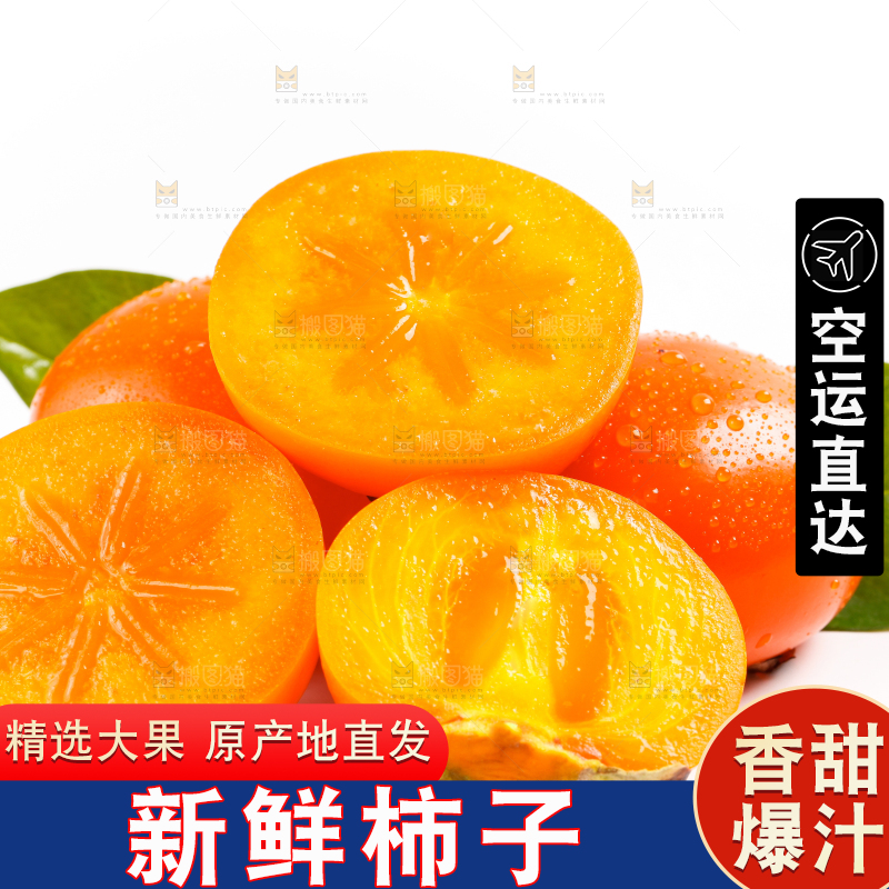 浅底上的大柿子