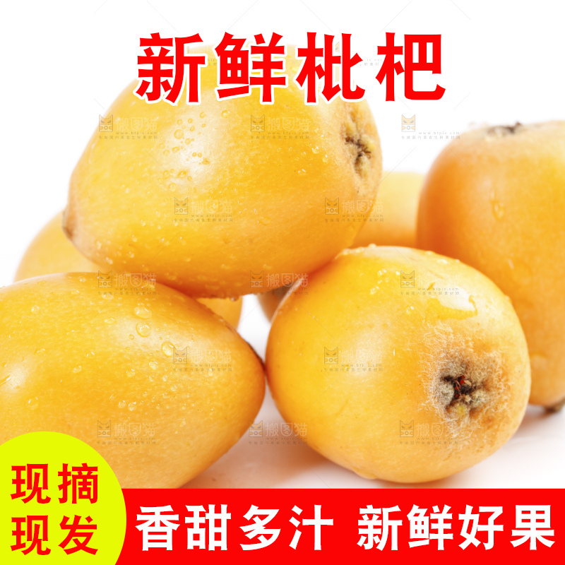 白底上的米易枇杷
