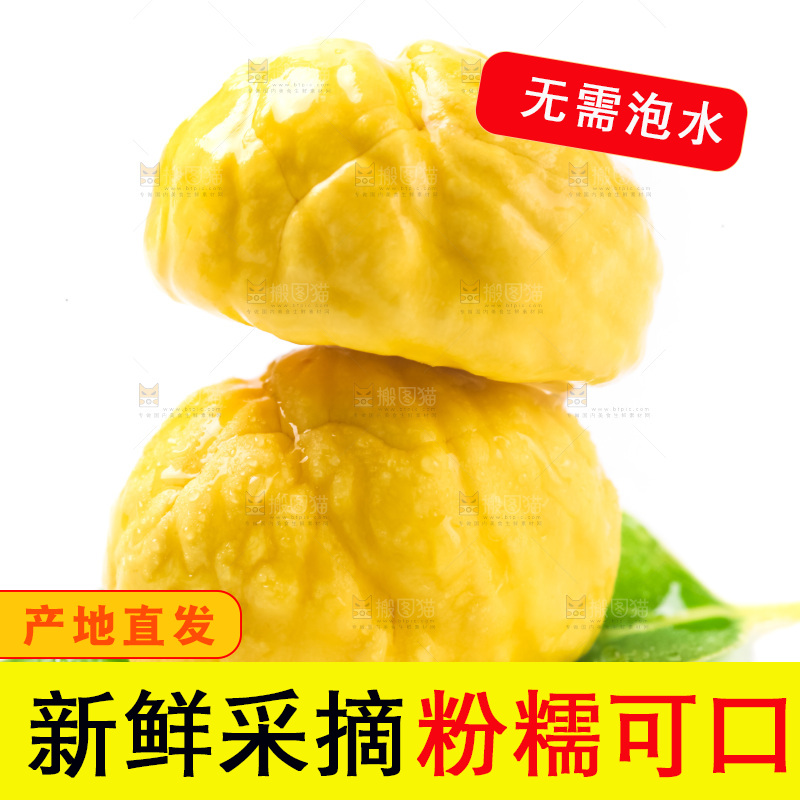 白底上的板栗