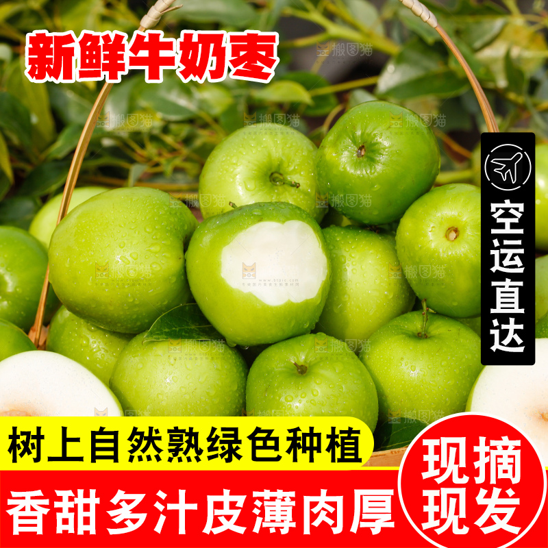 木底上放着一篮新鲜牛奶青枣