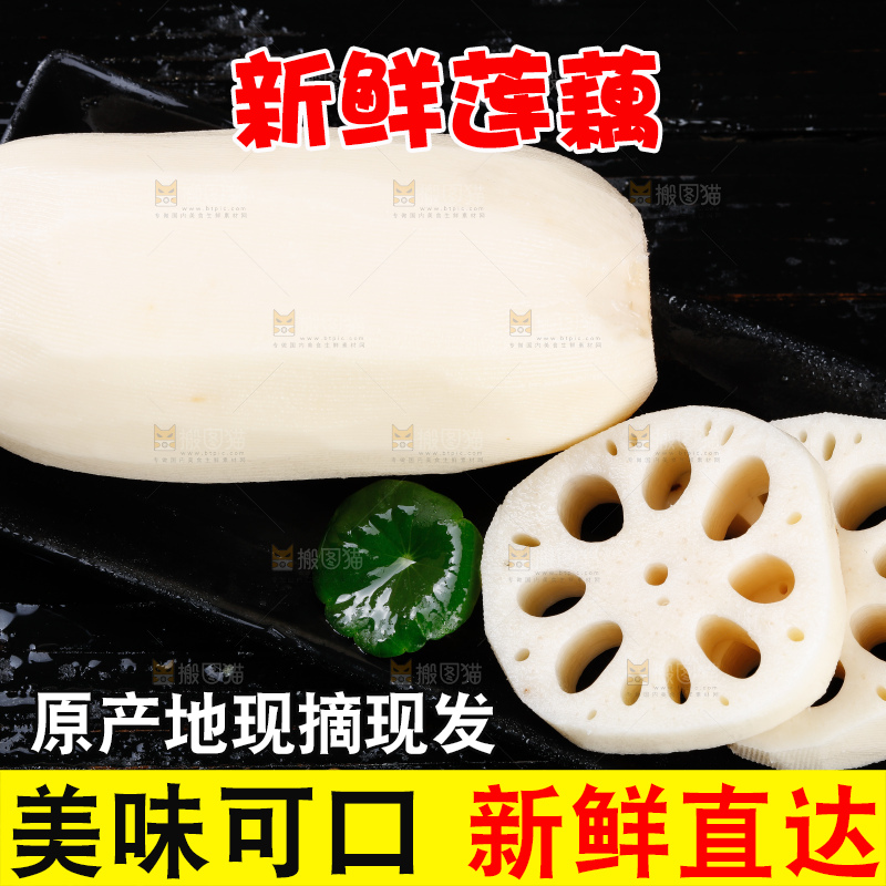 黑底上的洪湖莲藕