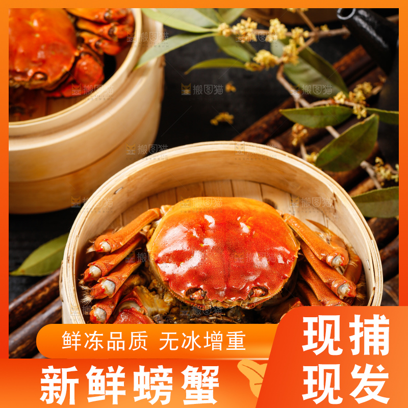 蒸笼里的清蒸螃蟹