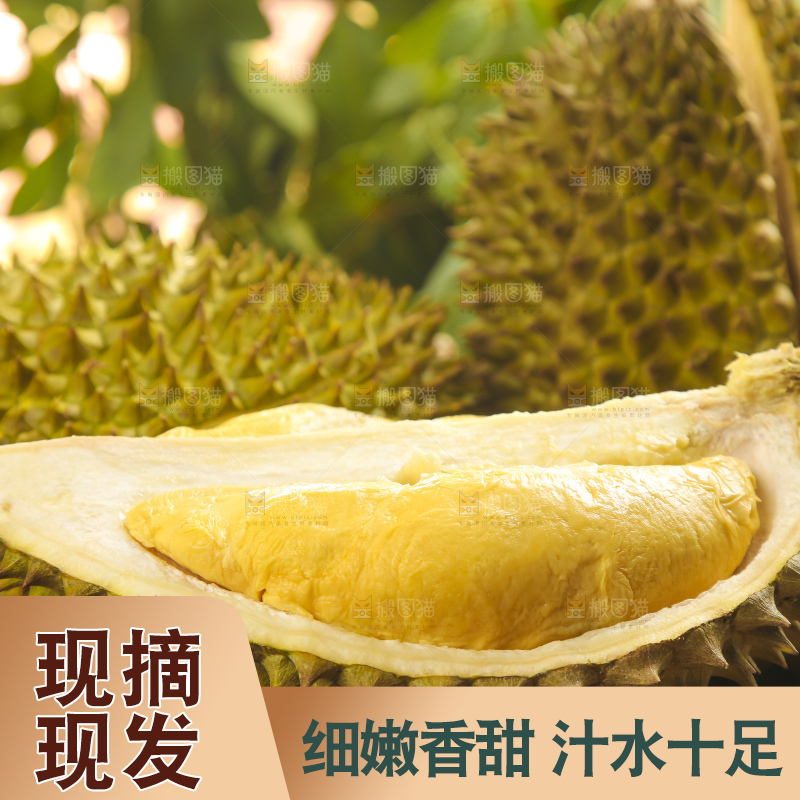 木板上的泰国金枕榴莲