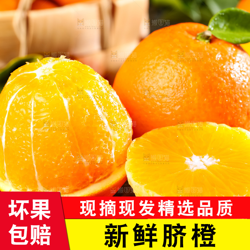 黄板子上的脐橙