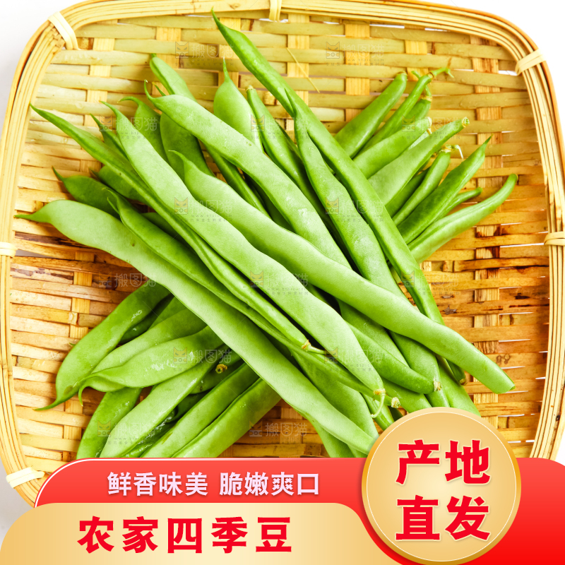 篮子里装着青豆角