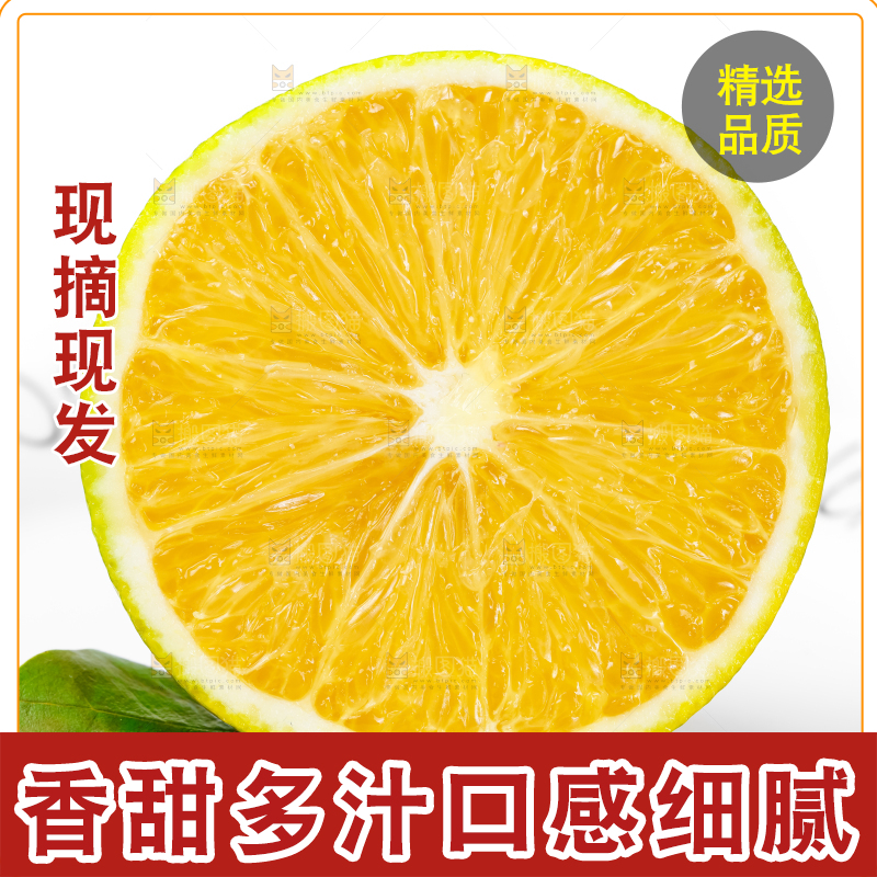 白底上放着蜜橙