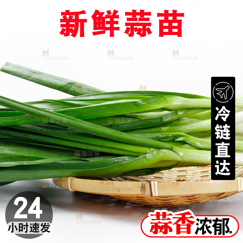 篮子里装着红根蒜苗