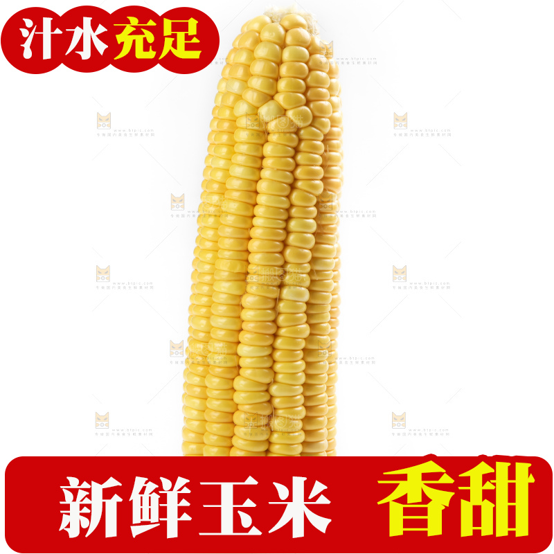 白底上放着黄玉米