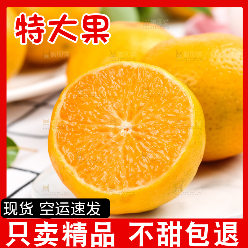 格子底上的皇帝柑