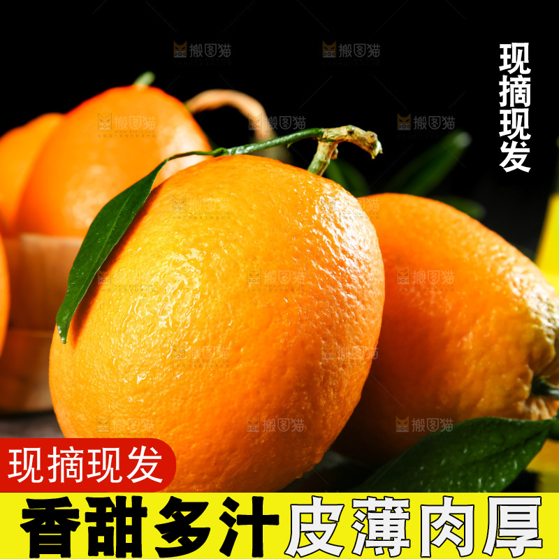 石板上的秭归脐橙