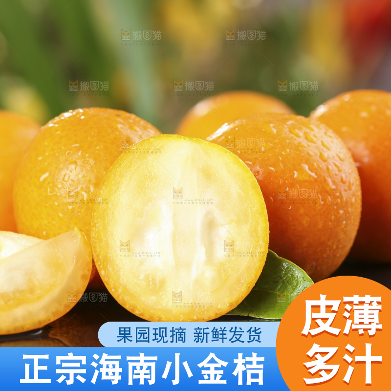 黑石板上的广西金钱橘