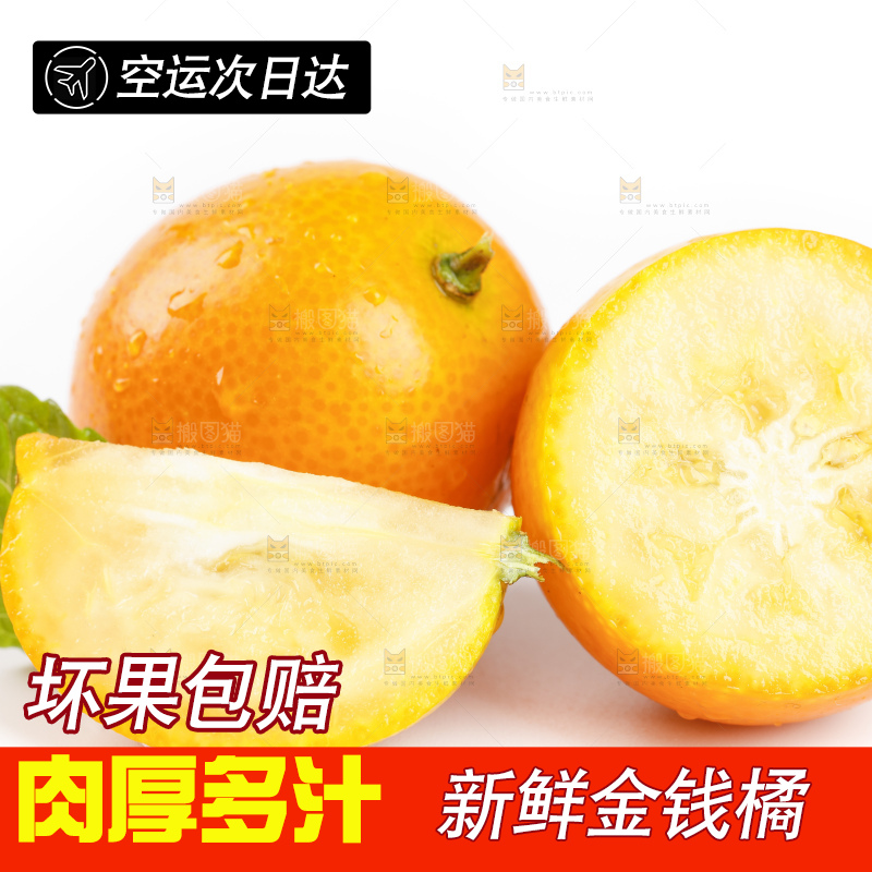 白底上的金桔