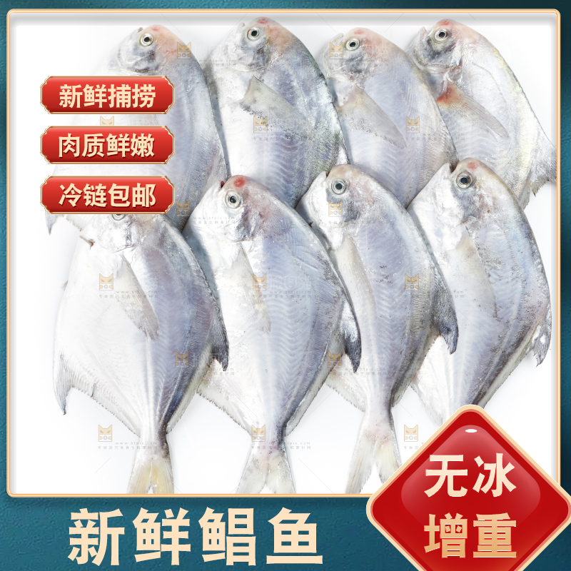 白底上放着银鲳鱼