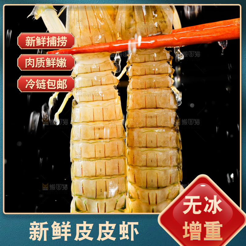筷子上夹着虾姑