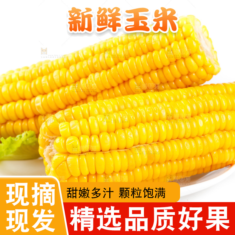 白底上放着黄玉米