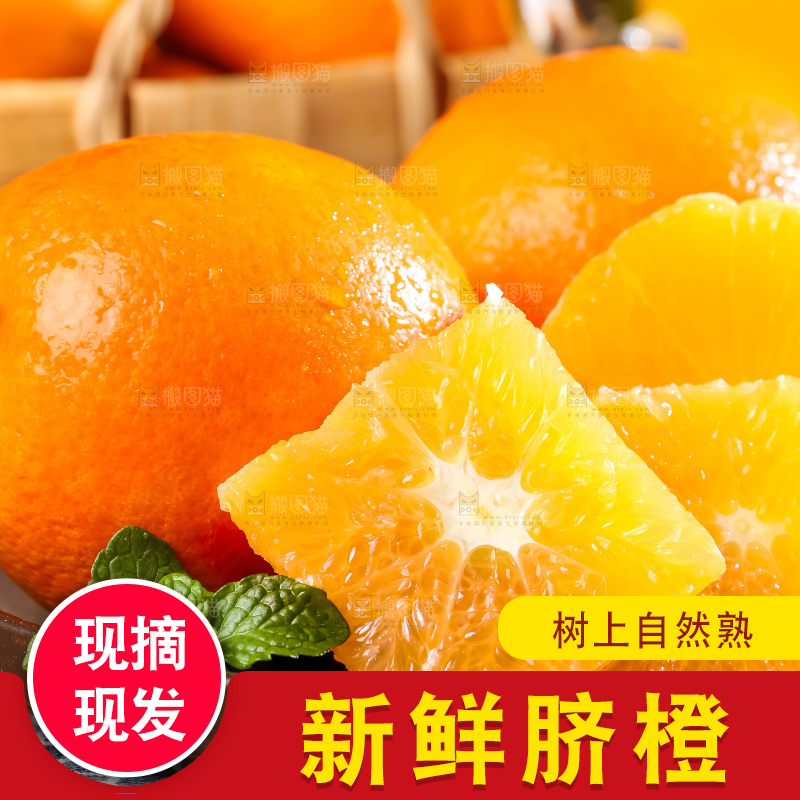 黄板子上的脐橙