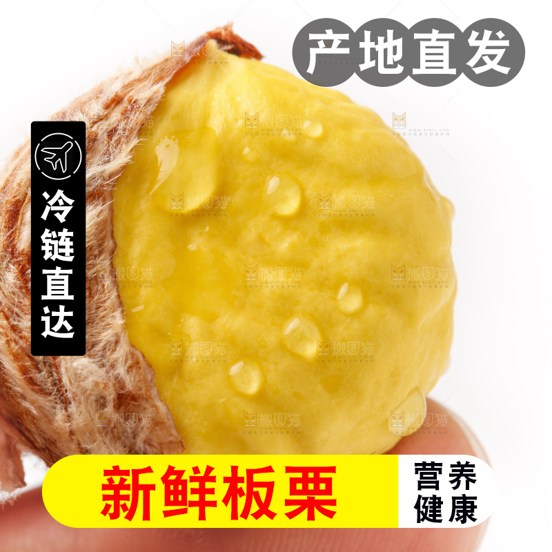 白底上的新鲜板栗