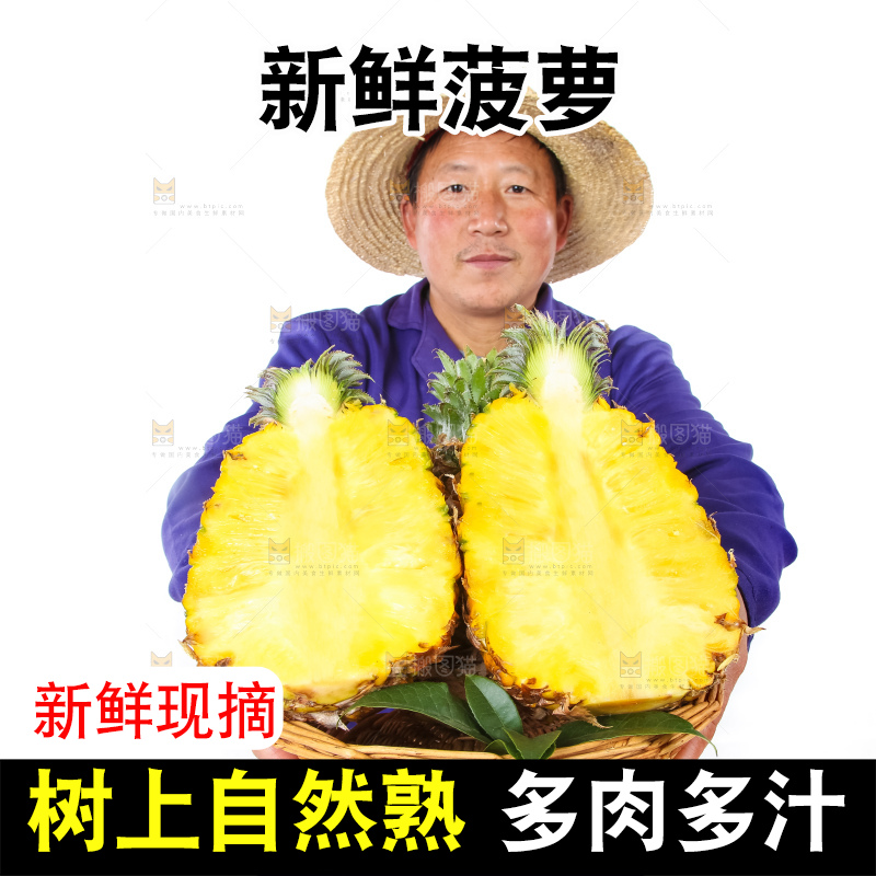 农民手里拿着香水菠萝