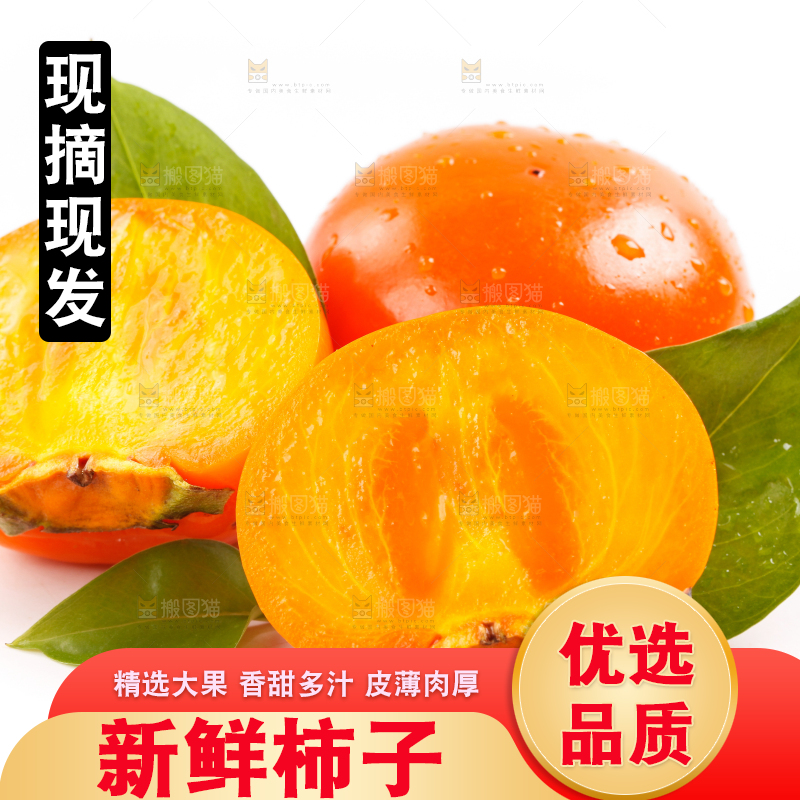 浅底上的大柿子