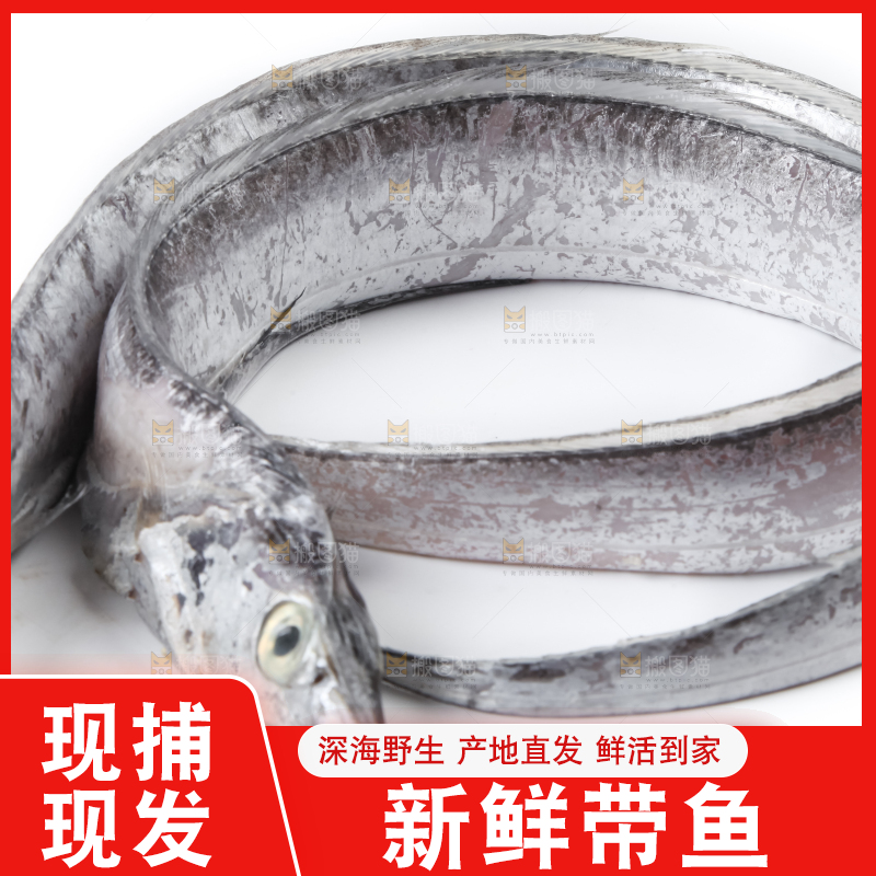 白底上放着带鱼